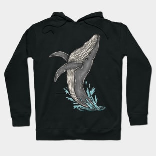 whale Hoodie